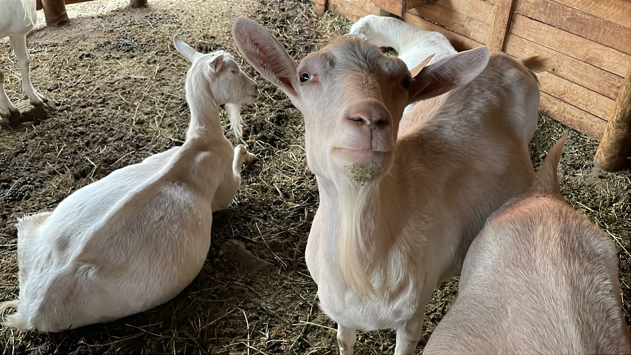 Image default